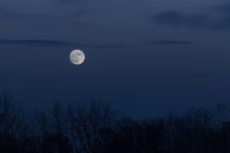 Bright full moon rising in a dark night sky